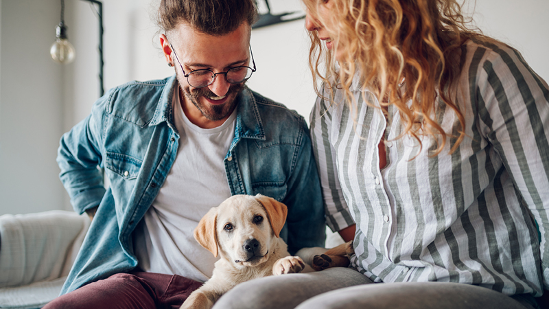 Couple sat on the couch holding a puppy