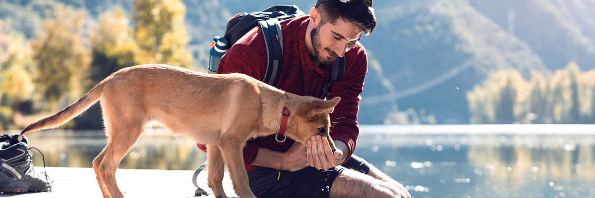 Person sitting with a dog by a lake