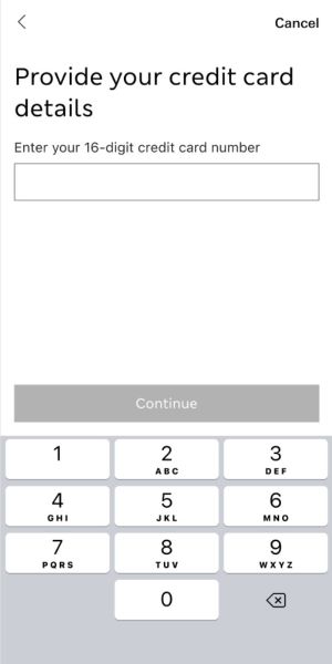 Provide account details screen from the app